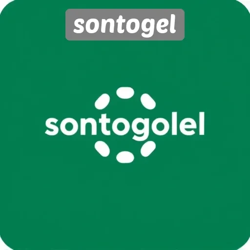 Panduan Lengkap Bermain di Situs Sontogel